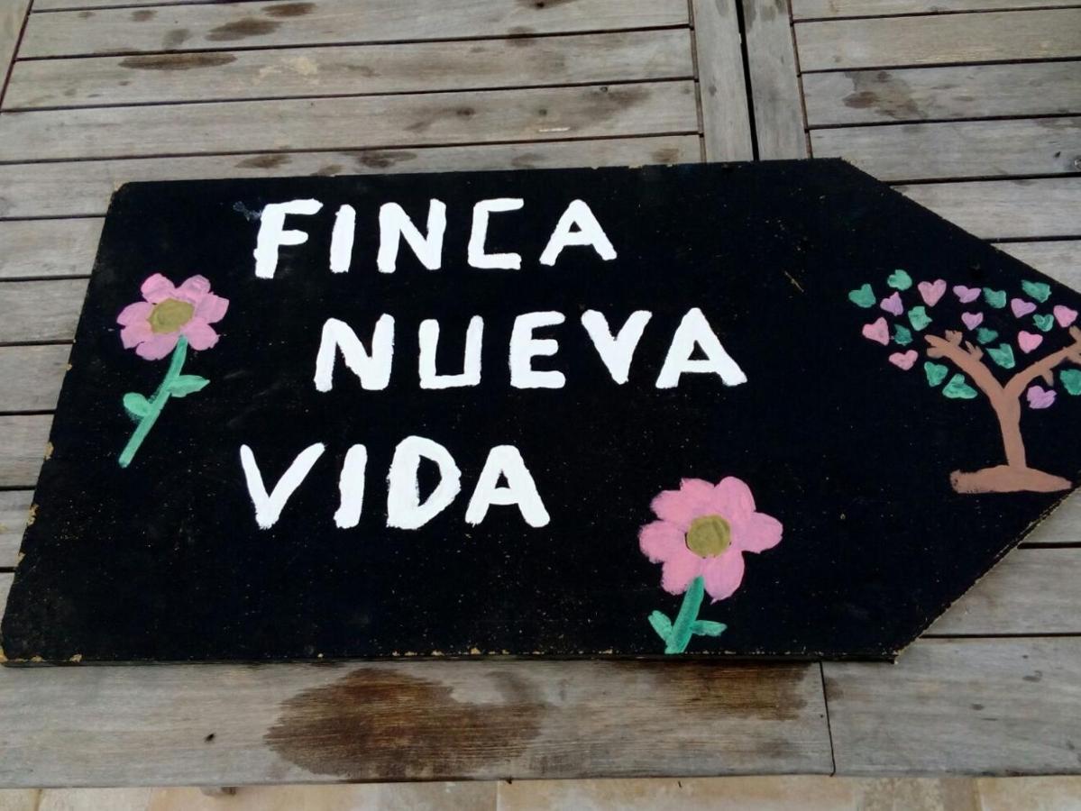 Eco Camping Nueva Vida Guest House Chío Eksteriør bilde