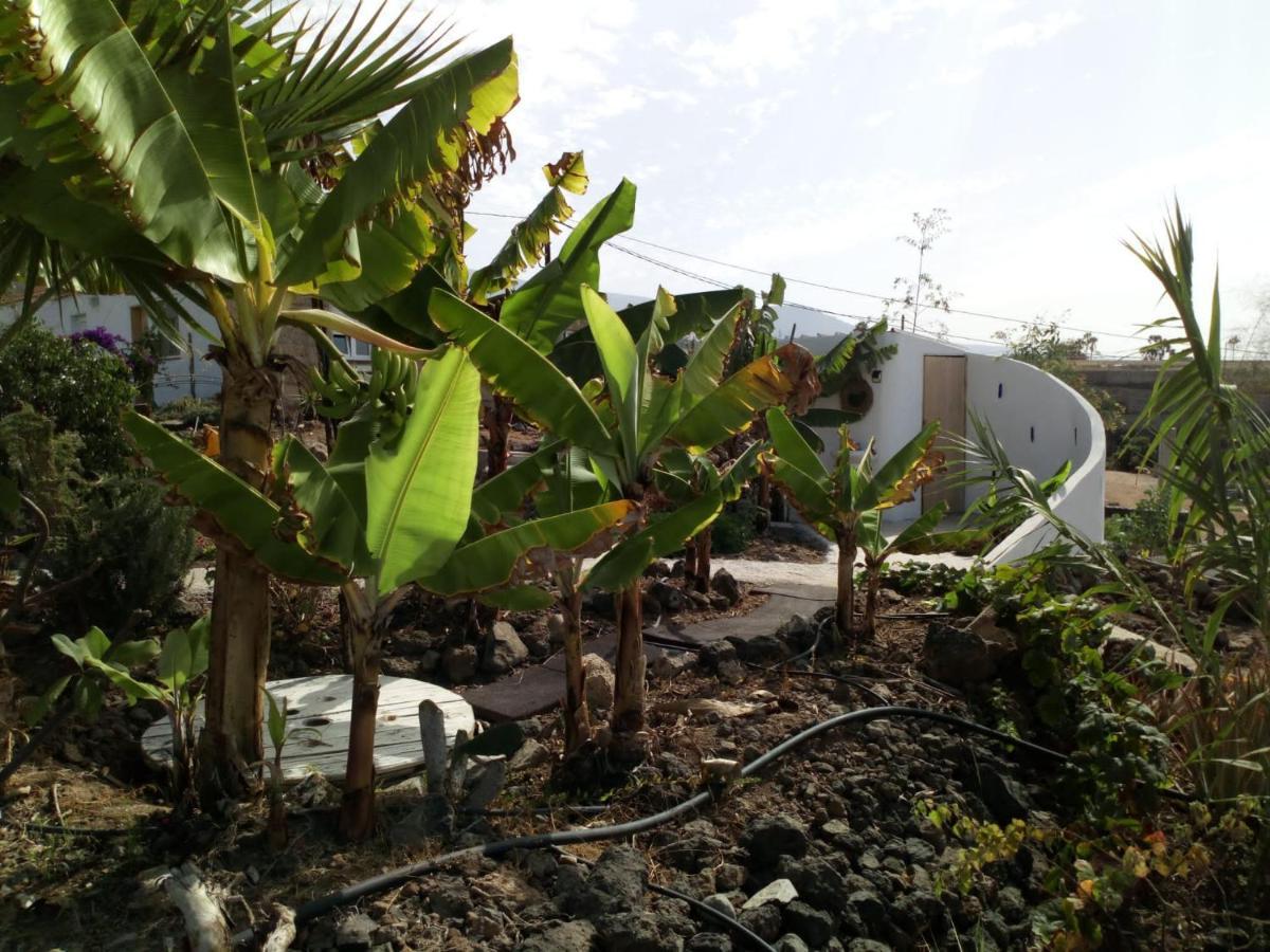 Eco Camping Nueva Vida Guest House Chío Eksteriør bilde