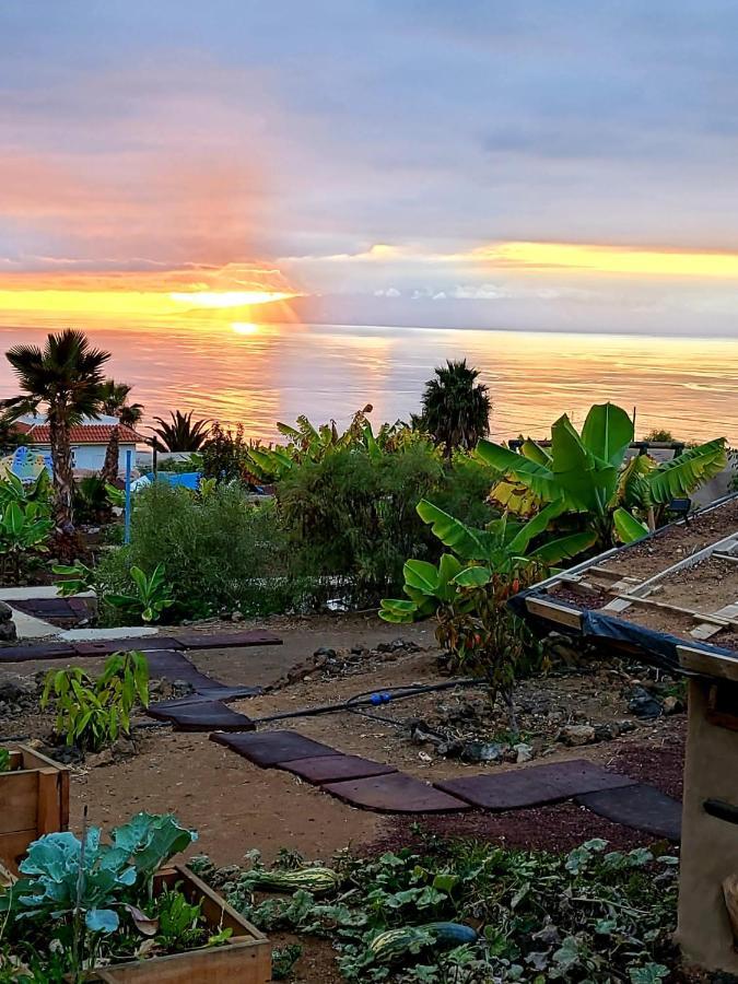 Eco Camping Nueva Vida Guest House Chío Eksteriør bilde
