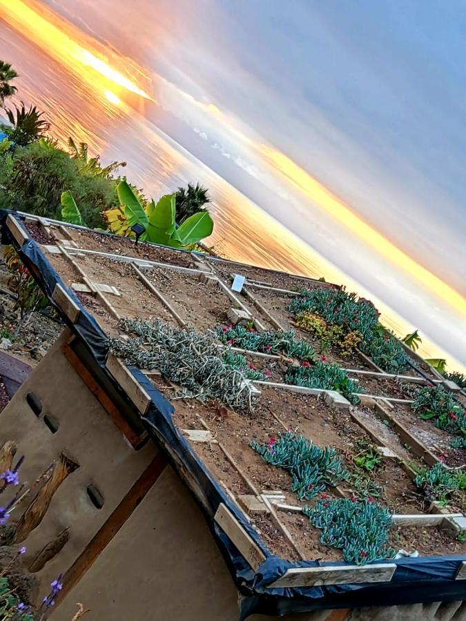 Eco Camping Nueva Vida Guest House Chío Eksteriør bilde