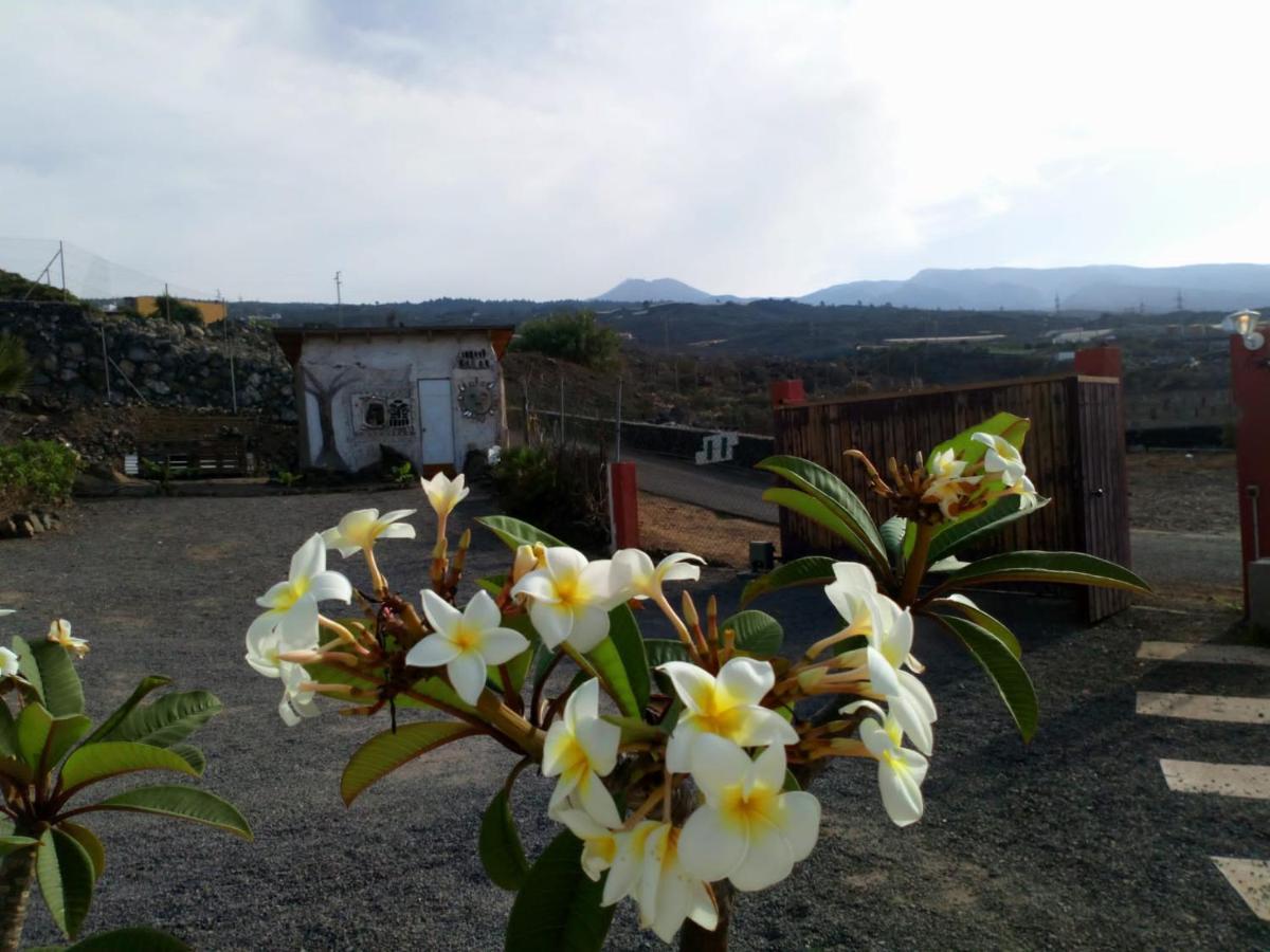 Eco Camping Nueva Vida Guest House Chío Eksteriør bilde