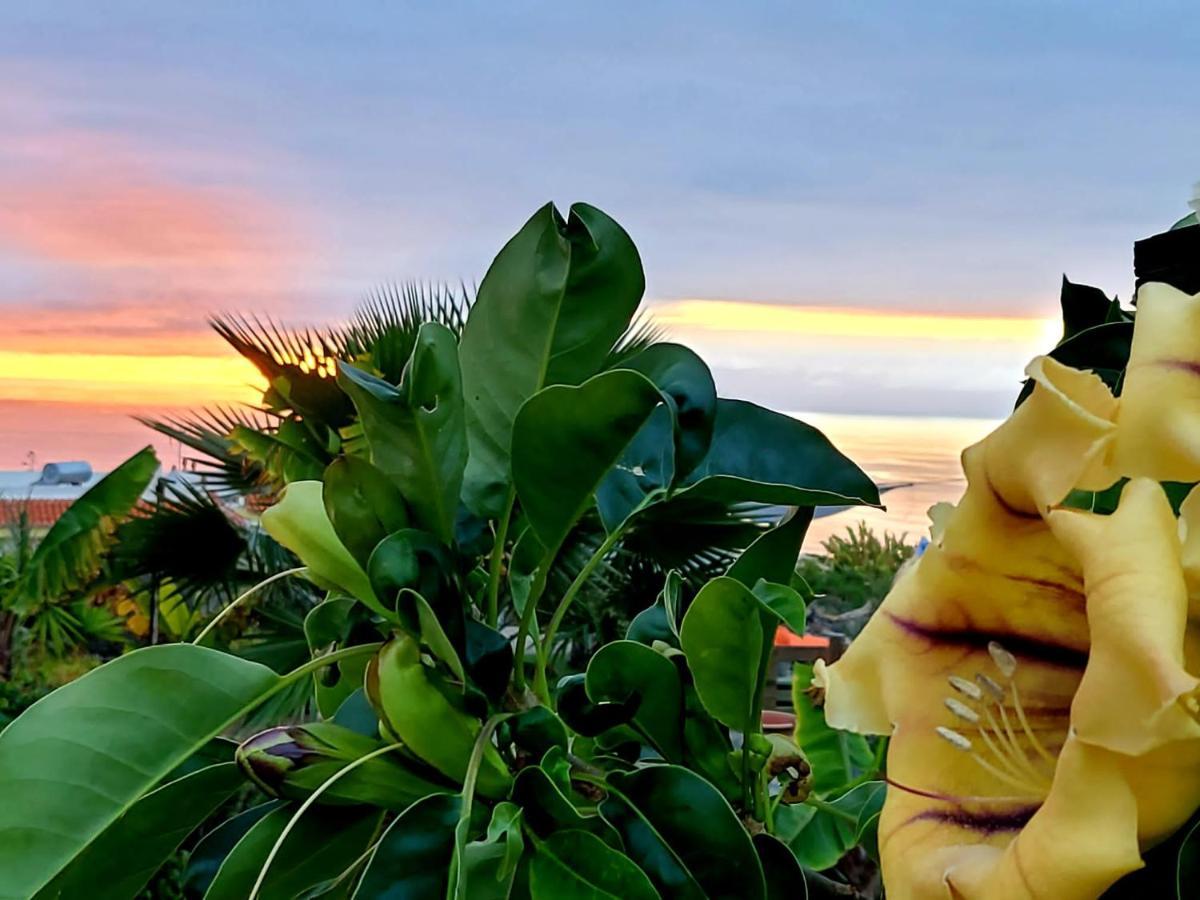 Eco Camping Nueva Vida Guest House Chío Eksteriør bilde